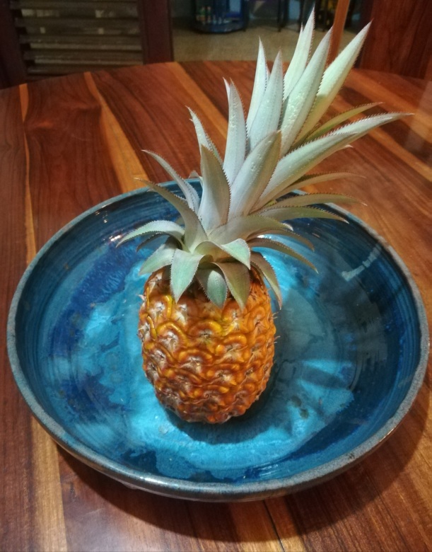 IMG_20190501_220659_resized_20190502_065609883 first pineapple of the season 2019