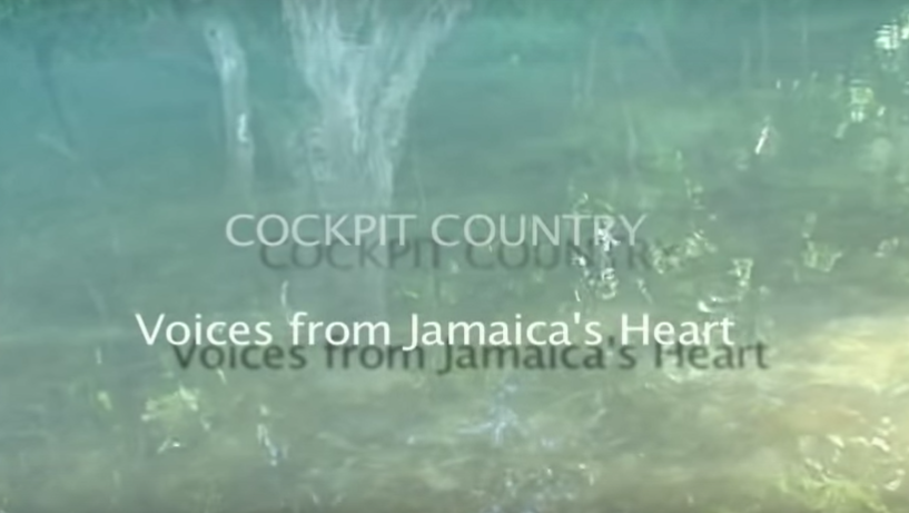 Cockpit Country - Voices from Jamaicas Heart - title - Esther Figueroa film